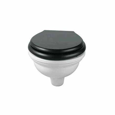London wall hung toilet